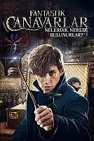 Fantastik Canavarlar Nelerdir, Nerede Bulunurlar? Film Posteri