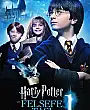 Harry Potter ve Felsefe Taşı Film Posteri