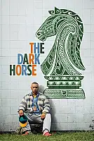 Kayıp Şampiyon Film Posteri