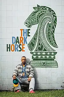 Kayıp Şampiyon Film Posteri