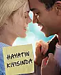 Hayatın Kıyısında Film Posteri