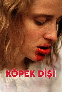 Köpek Dişi Film Posteri