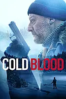 Geçmişin Günahları Film Posteri