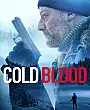 Geçmişin Günahları Film Posteri