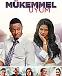 Mükemmel Uyum Film Posteri