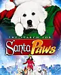 Yeni Yıl Köpekleri'nin Peşinde Film Posteri
