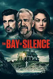 Sessizlik Körfezi Film Posteri