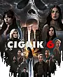 Çığlık 6 Film Posteri