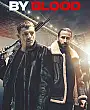 Kardeş Kanı Film Posteri
