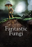 Mantarların Gizemli Dünyası Film Posteri