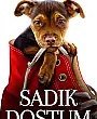 Sadık Dostum Film Posteri