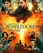 Fantastik Canavarlar: Dumbledore'un Sırları Film Posteri