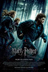 Harry Potter ve Ölüm Yadigârları: Bölüm 1 Afiş