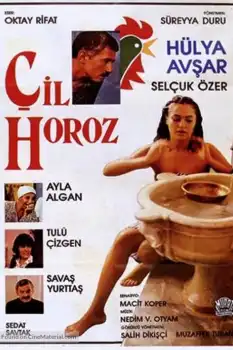 Çil Horoz