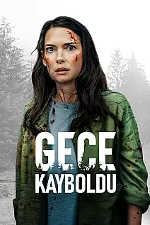 Gece Kayboldu Film Posteri