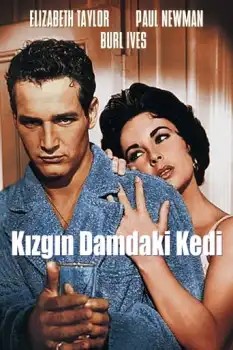 Kızgın damdaki kedi Film Afişi