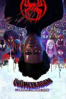 Örümcek-Adam: Örümcek-Evrenine Geçiş Film Posteri