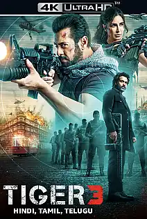 Tiger 3 Film Posteri