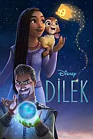 Dilek Film Posteri