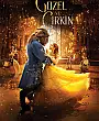 Güzel ve Çirkin Film Posteri