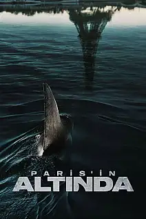 Paris'in Altında Film Posteri