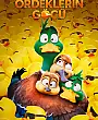 Ördeklerin Göçü Film Posteri