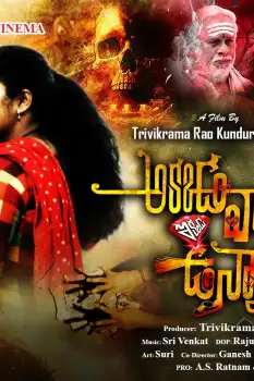 Akkada Varu Ikkada Unnaru