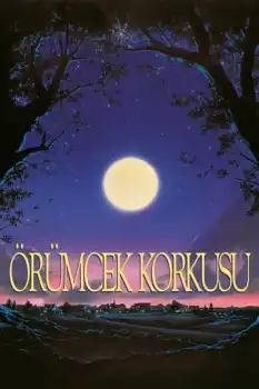 Örümcek Korkusu