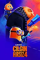 Çılgın Hırsız 4 Film Posteri