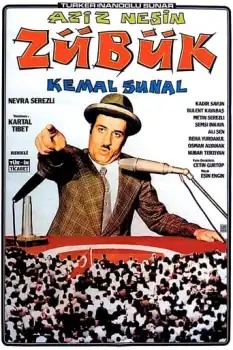 Zübük Film Afişi