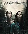 Ormana Doğru Film Posteri