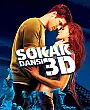 Sokak Dansı 3D Film Posteri