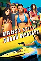 Vahşi Şeyler: Dördü Birarada Film Posteri