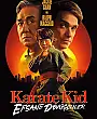 Karate Kid: Efsane Dövüşçüler Film Posteri