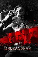 Dava Adamı Film Posteri