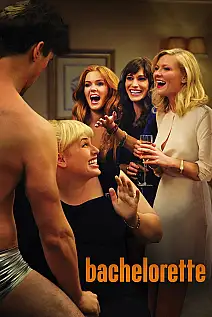 Bekarlığa Veda Film Posteri