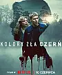 Kötülüğün Rengi: Siyah Film Posteri