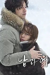 A Man and a Woman Film Posteri
