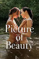 Güzelliğin Resmi Film Posteri