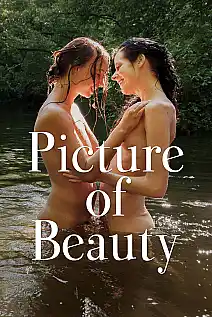 Güzelliğin Resmi Film Posteri