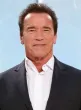 Arnold Schwarzenegger Resmi