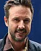 David Arquette Fotoğrafı