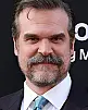 David Harbour Fotoğrafı