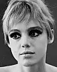 Edie Sedgwick Fotoğrafı