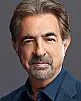 Joe Mantegna Fotoğrafı
