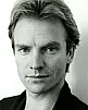 Sting Fotoğrafı