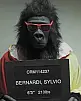 Sylvio Bernardi Fotoğrafı