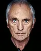Terence Stamp Fotoğrafı